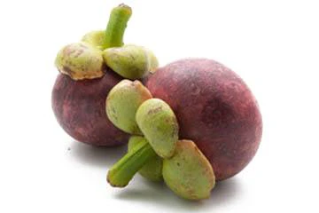 Mangosteen