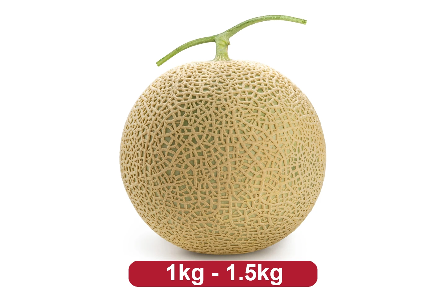 Japanese Melon